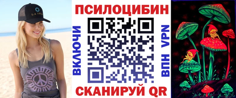 Псилоцибиновые грибы Cubensis  Тогучин 